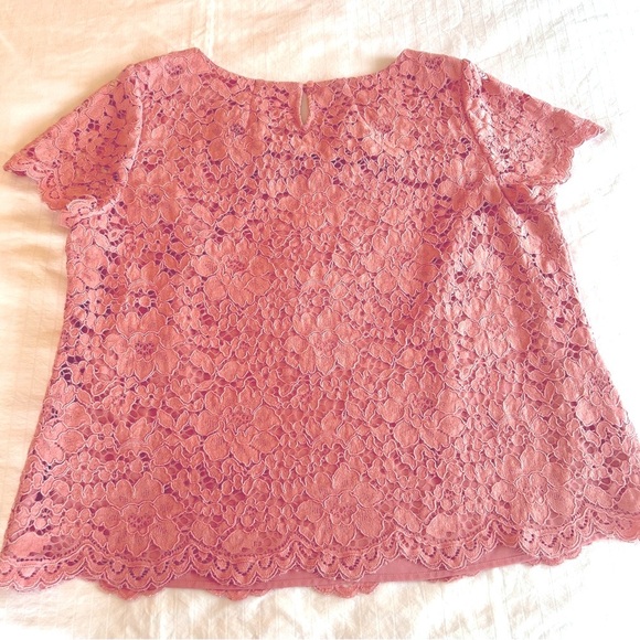 Talbots Top Dusty Rose Lace Blouse Short Sleeve Lined Scallop Hem Plus size 18W - Picture 10 of 15